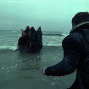 Foto Na srebrnym globie