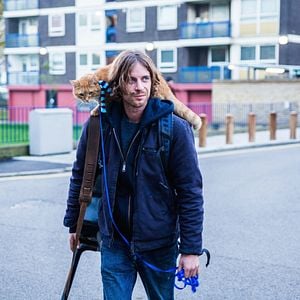 Foto Un gato callejero llamado Bob