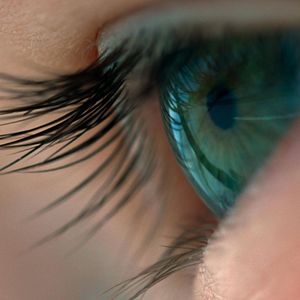 Foto Voyage of Time: Life's Journey