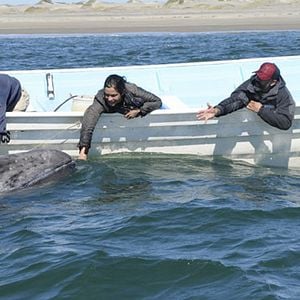 Foto El sueño de Lu