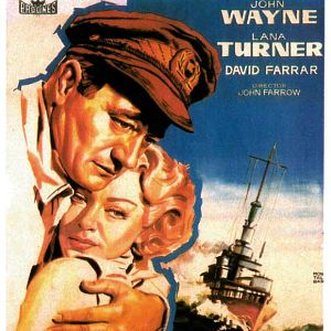 Foto El zorro de los océanos