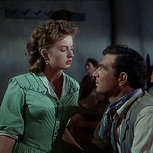 Foto Stephen McNally