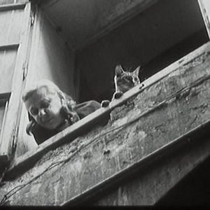 Foto Diamantes de la noche