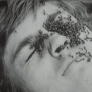 Foto Diamantes de la noche