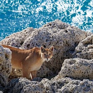 Foto El viaje de Unai