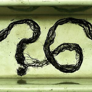 Foto American Horror Story