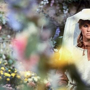 Foto Lejos del mundanal ruido