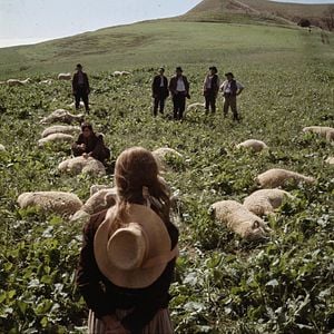 Foto Lejos del mundanal ruido