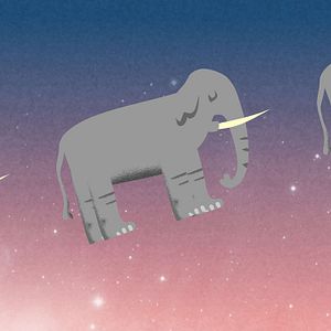 Foto La ruta de los elefantes