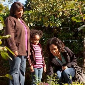 Foto Sins of the Mother