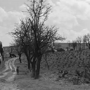 Foto Nunca pasa nada