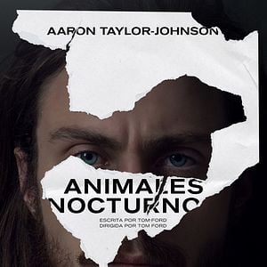 Foto Animales nocturnos