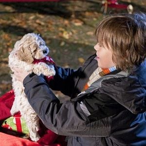 Foto The Night Before the Night Before Christmas