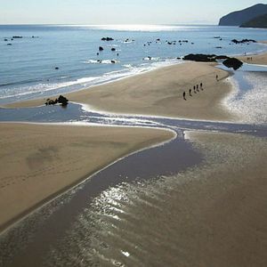 Foto Footprints: El camino de tu vida