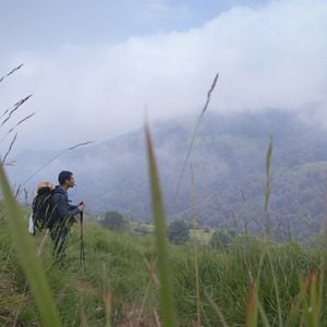 Foto Footprints: El camino de tu vida
