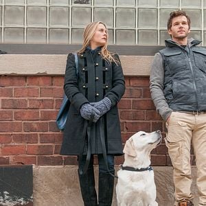 Foto Alicia Silverstone