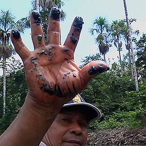 Foto How To Let Go Of The World (And Love All The Things Climate Can't Change)