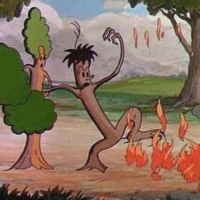 Foto Tiempo de melodía