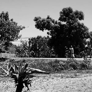 Foto The Woman Who Left