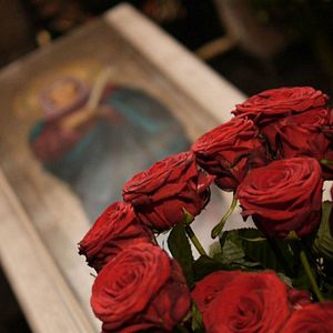 Foto Telas en las ramas