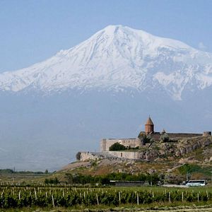 Foto Telas en las ramas