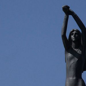 Foto Telas en las ramas