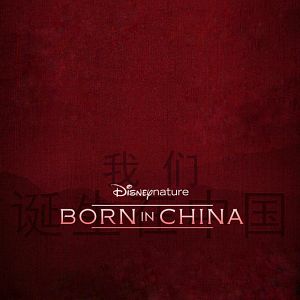 Foto Nacidos en China