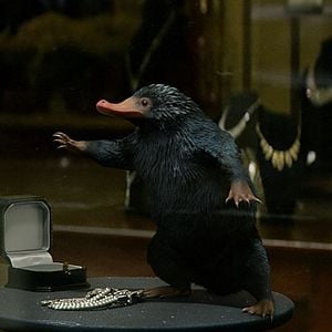 Foto Animales fantásticos y dónde encontrarlos