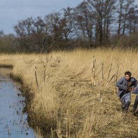 Foto The Day Will Come