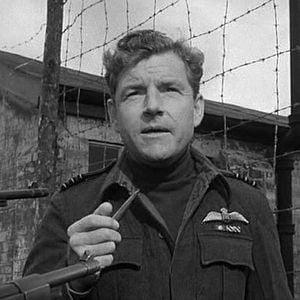 Foto Reach for the Sky