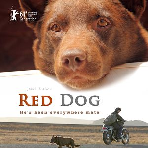 Foto Red Dog