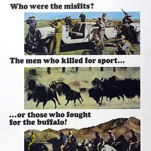 Foto Bendice a los animales y a los niños