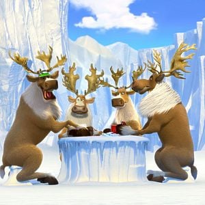 Foto Norman del Norte