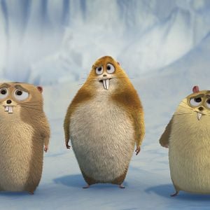 Foto Norman del Norte