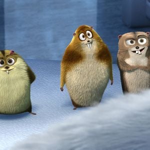 Foto Norman del Norte