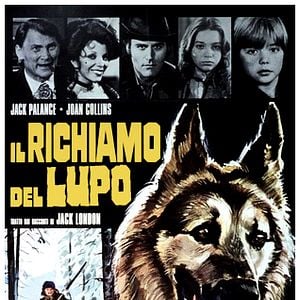 Foto La llamada del lobo