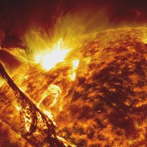 Foto Lo And Behold, Reveries Of The Connected World