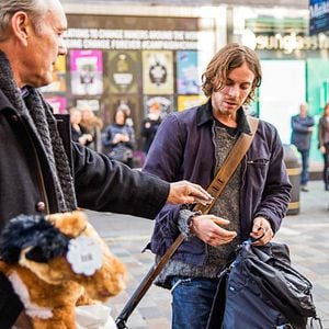 Foto Un gato callejero llamado Bob