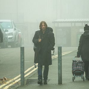 Foto Un gato callejero llamado Bob