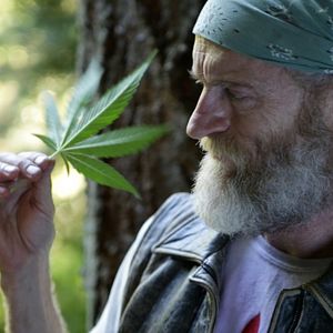 Foto Russell Hodgkinson