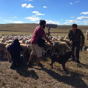 Foto Bienvenido Mr. Heston