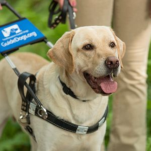 Foto La luz de mis ojos
