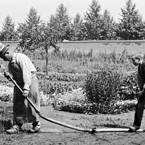 Foto Lumiere! Comienza la aventura