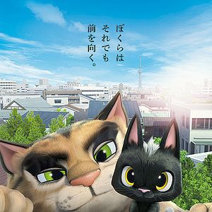 Foto Gatos. Un viaje de vuelta a casa