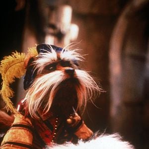 Foto Dentro del laberinto