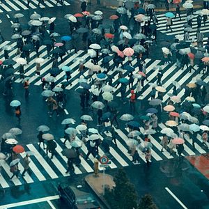 Foto Frágil equilibrio
