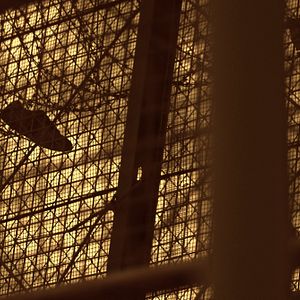 Foto Frágil equilibrio