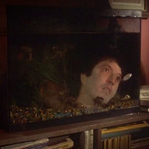 Foto Los ojos de un extraño