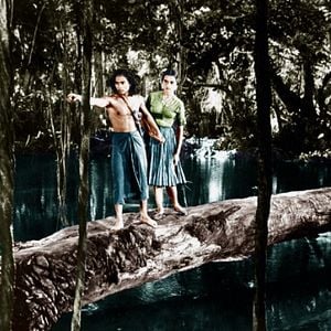 Foto El libro de la selva