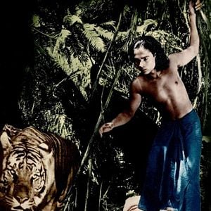 Foto El libro de la selva